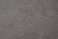 El gris del cemento implica el top de la vanidad del cuarzo de 12m m
