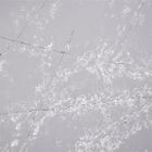 Modelo blanco Grey Calacatta Quartz Stone del copo de nieve 3000*1500M M